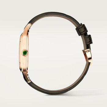 Santos-Dumont watch Santos-Dumont watch