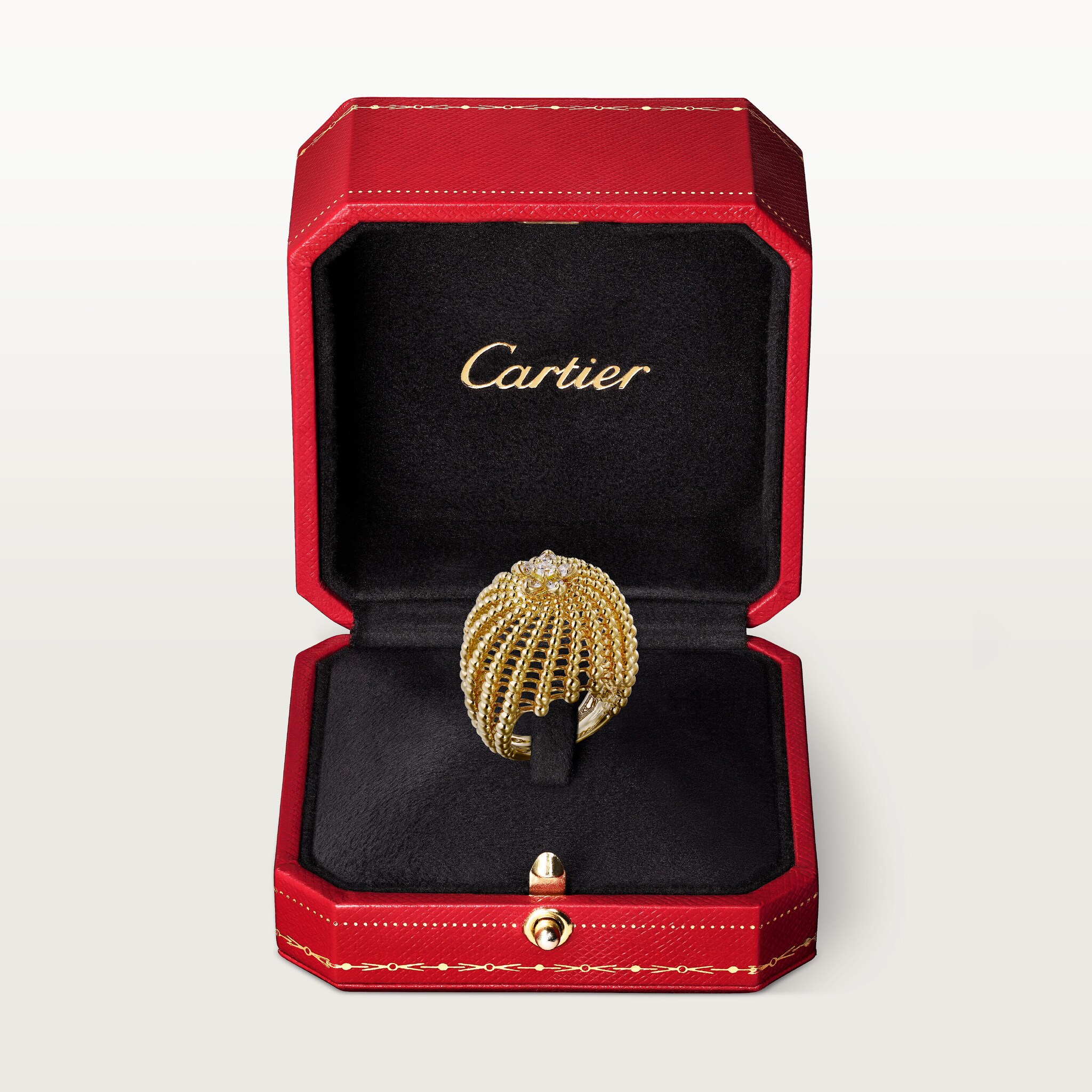 칵투스 드 까르띠에 링, 이미지 9