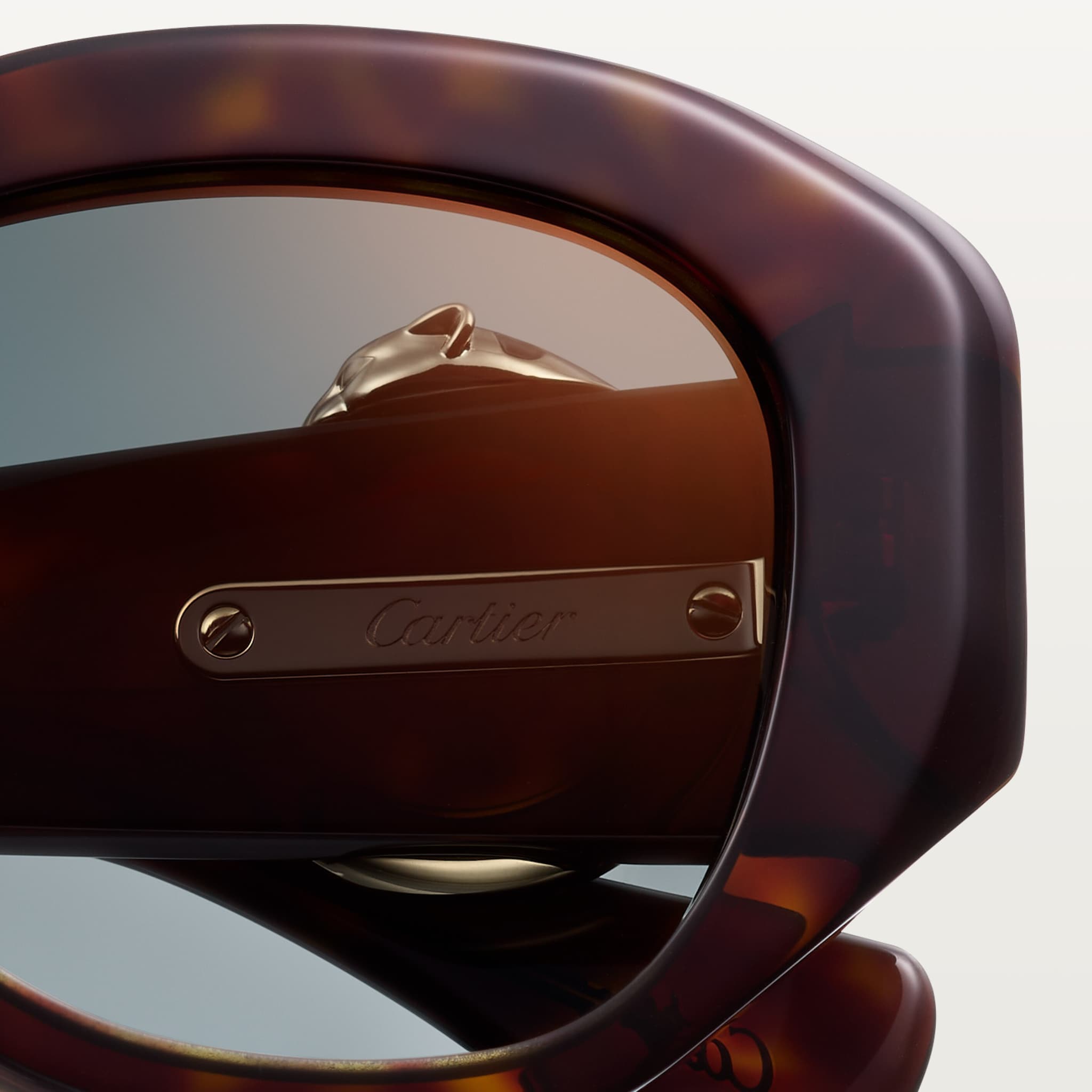 Panth&egrave;re de Cartier sunglasses, image 5