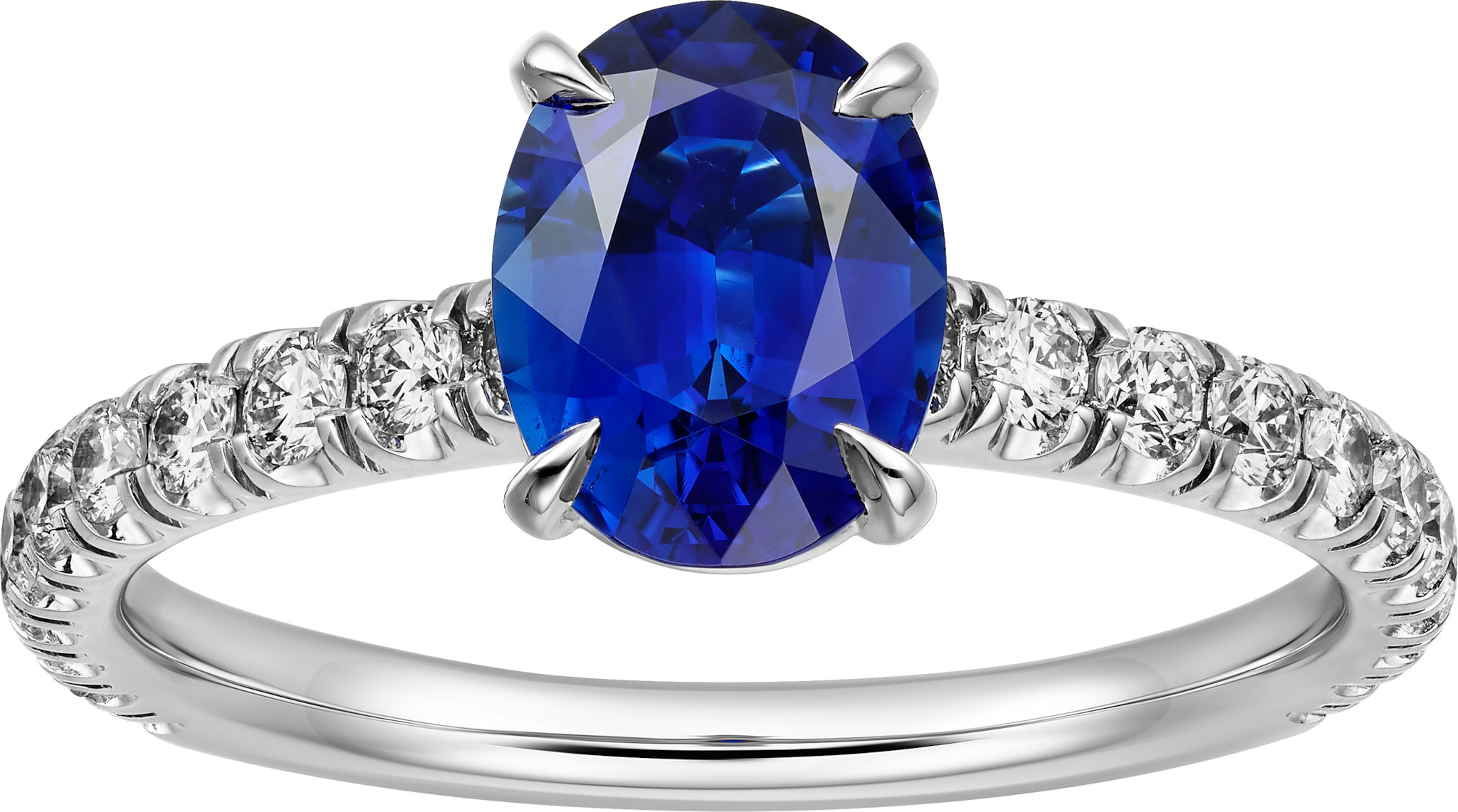 1895 solitaire, oval-cut sapphire, paved 