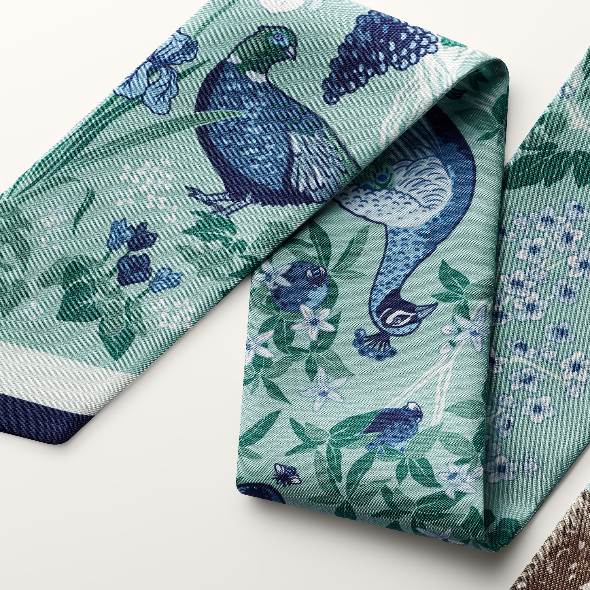 Bandeau, Blooming Panth&egrave;re