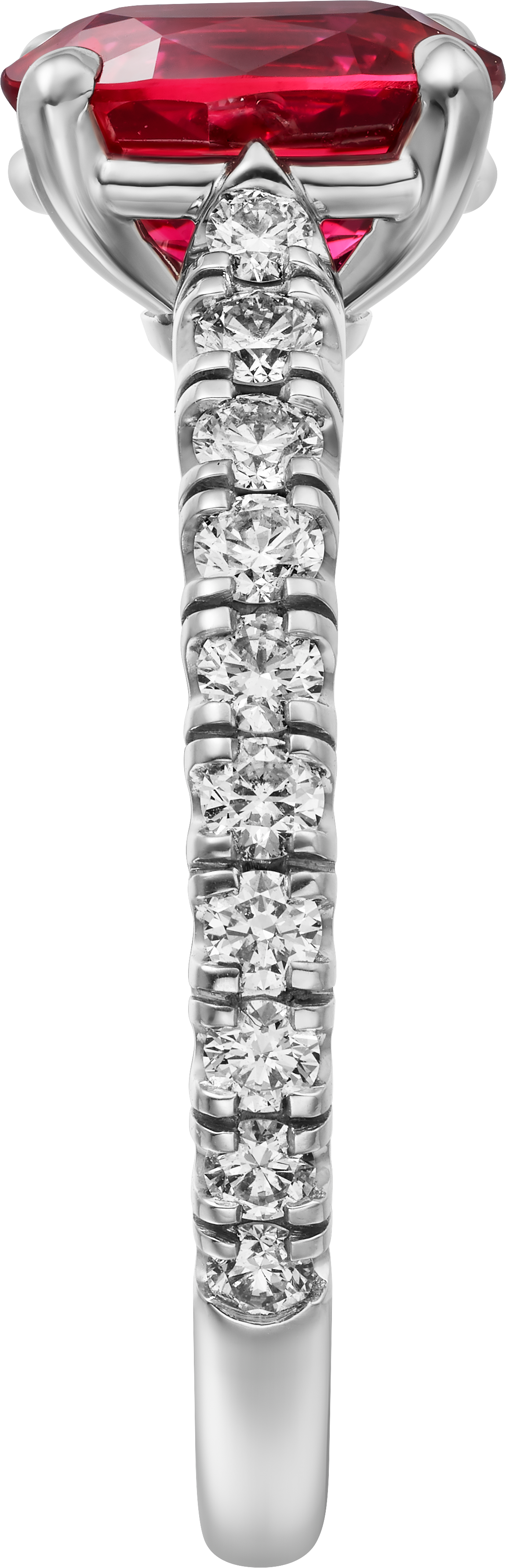 1895 solitaire, oval-cut ruby, paved , image 5