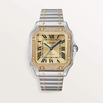 Santos de Cartier watch Santos de Cartier watch