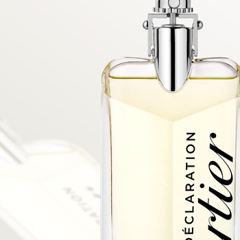 Mens top cartier fragrance