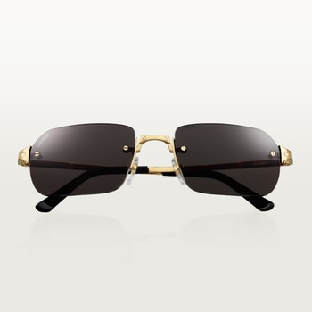 Santos de Cartier sunglasses Santos de Cartier sunglasses
