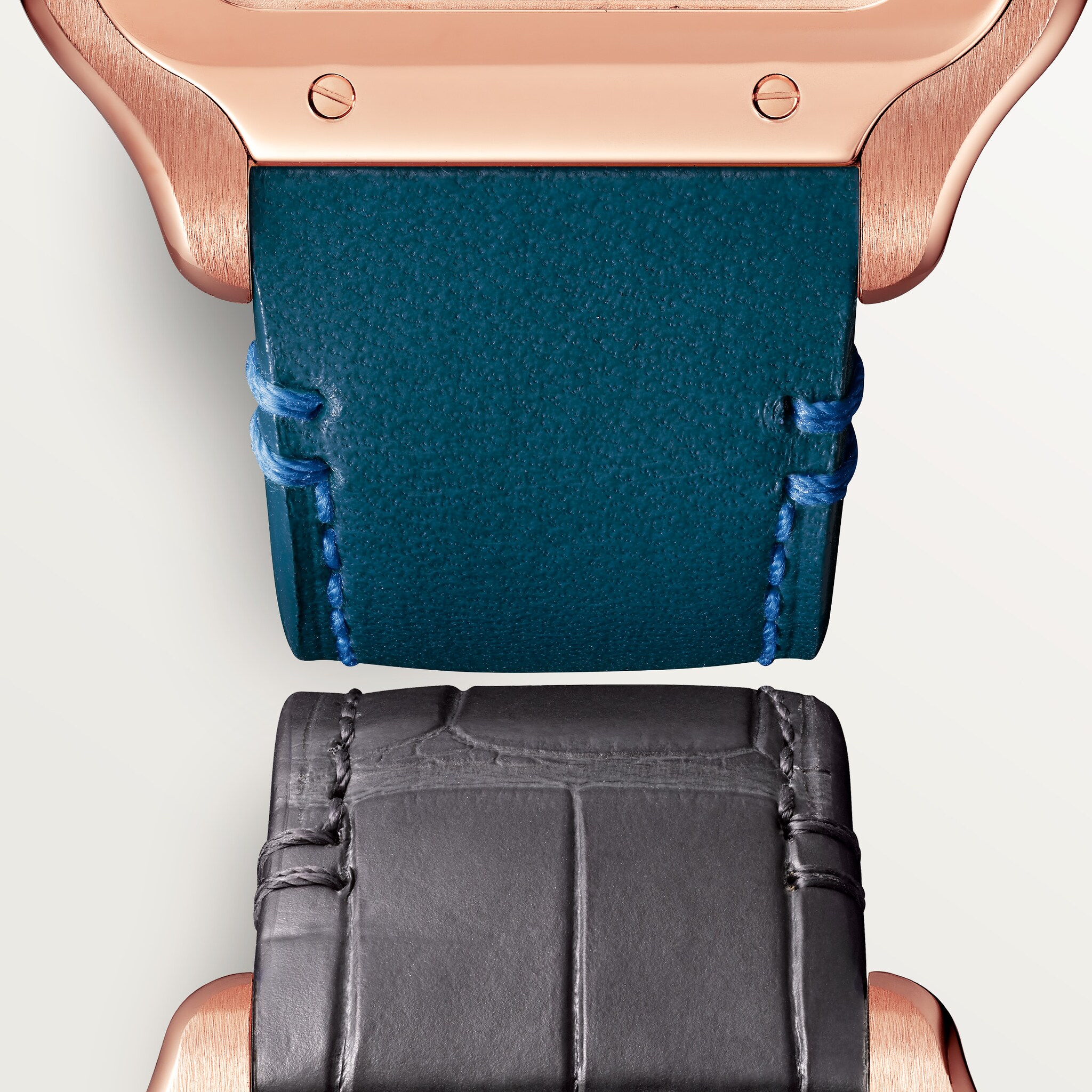 Santos de Cartier iskelet saat