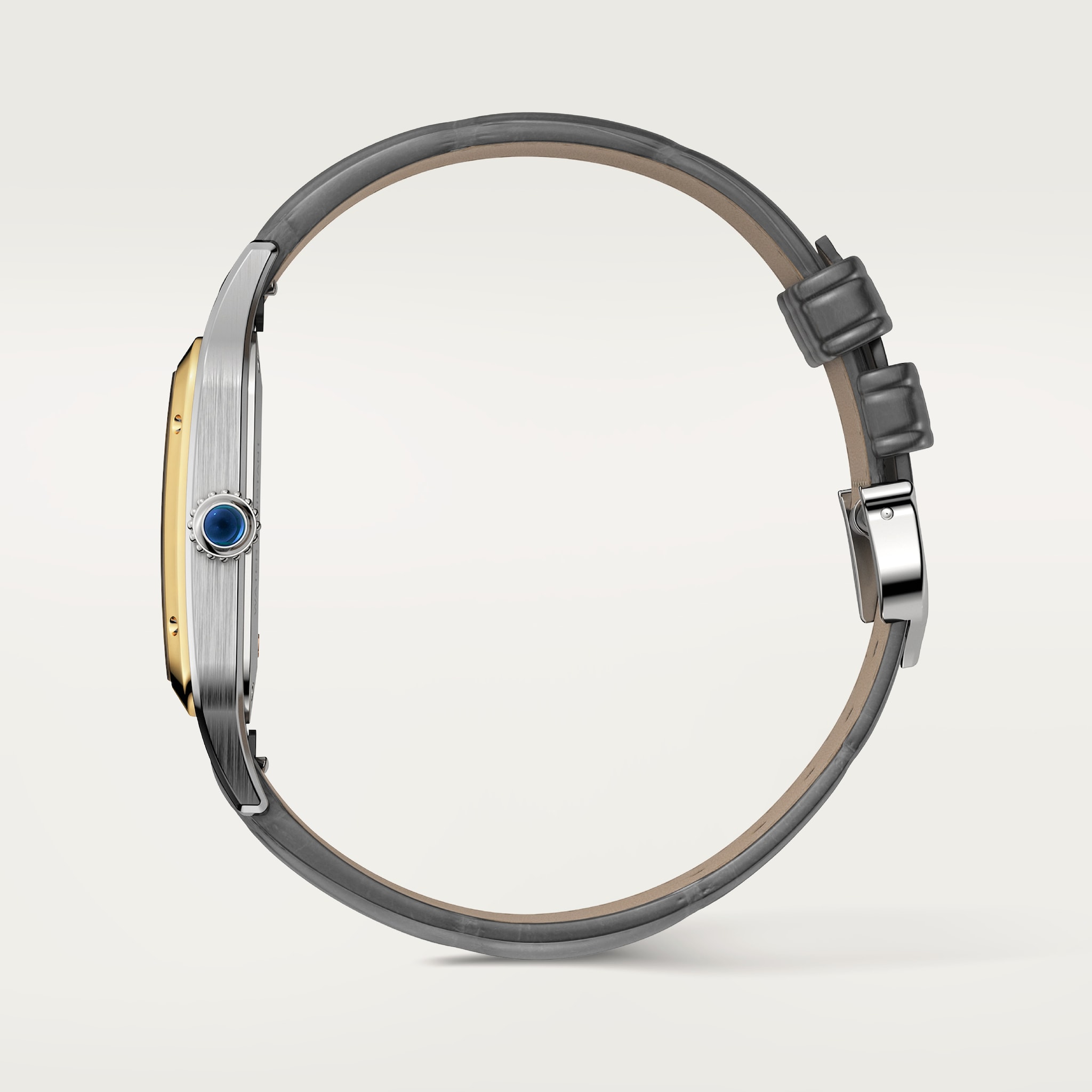 13 صورة ،ساعة "سانتوس دومو"