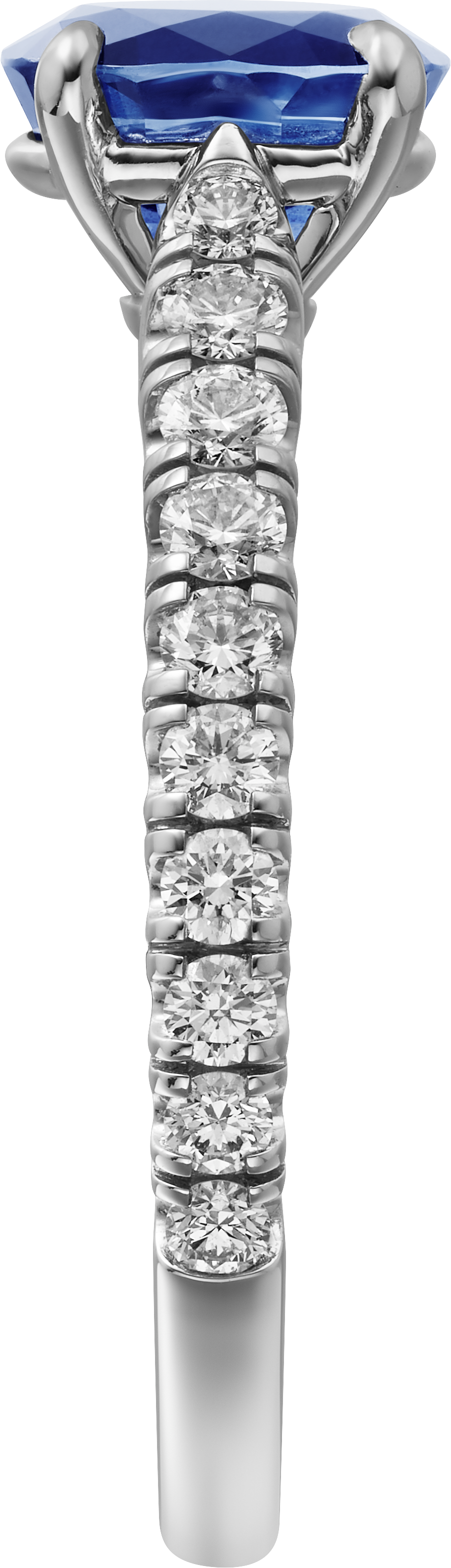 1895 solitaire, oval-cut sapphire, paved , image 5