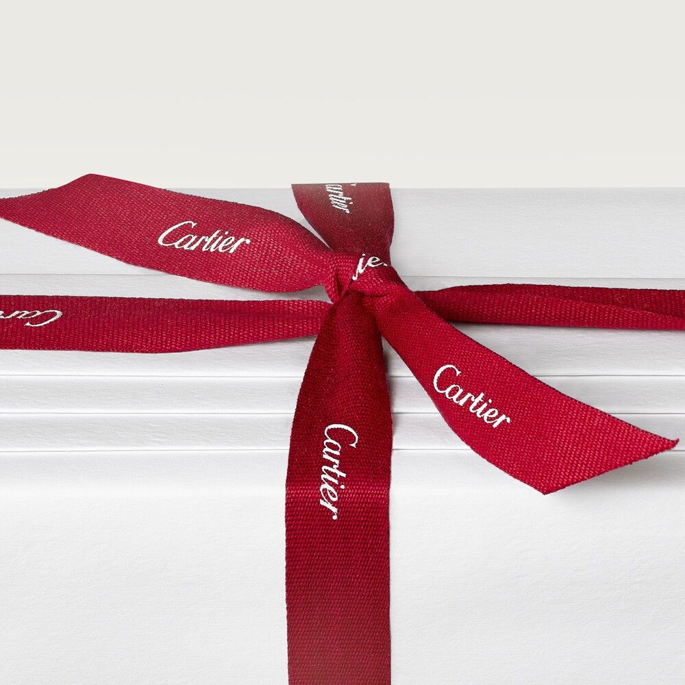 Подарочный набор Premium Pasha de Cartier