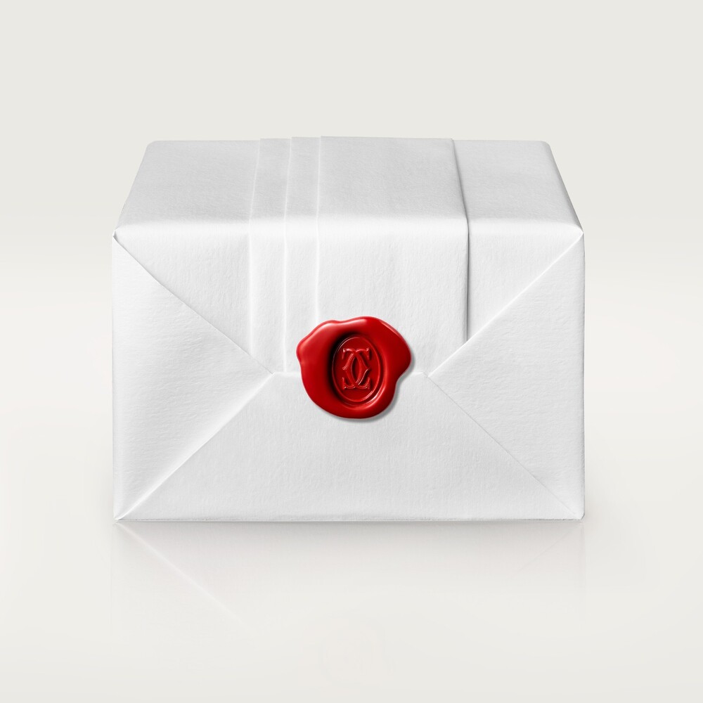 Колье Amulette de Cartier, модель XS
