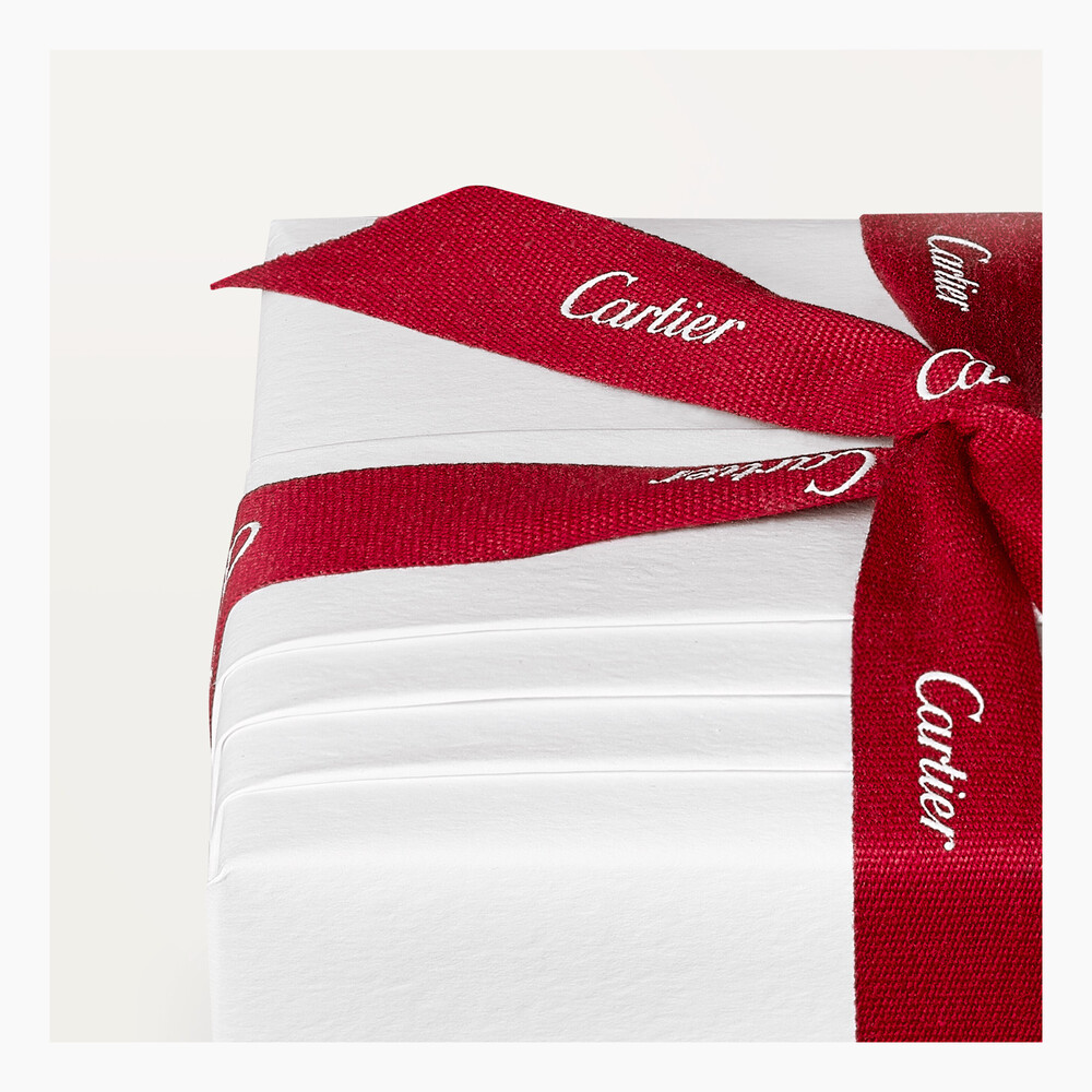 Блокнот Diabolo de Cartier