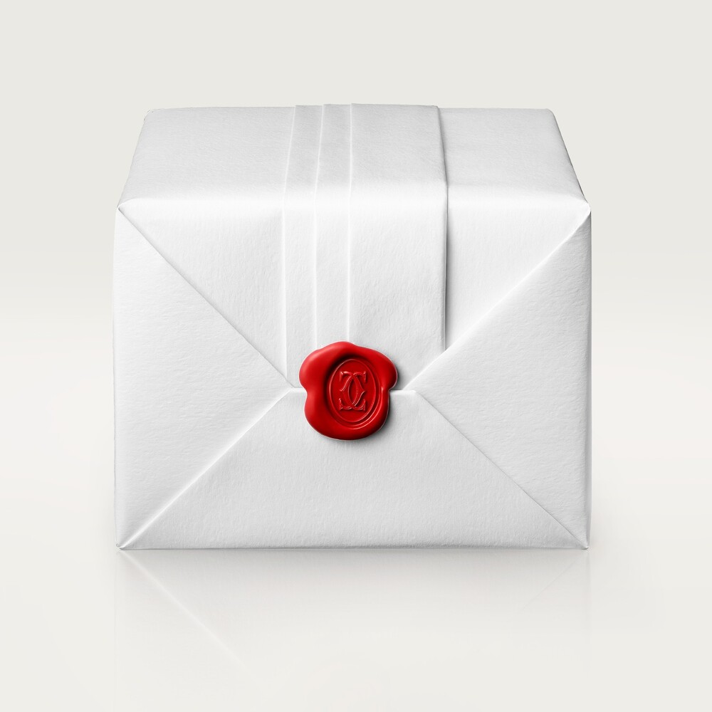 Часы Santos de Cartier