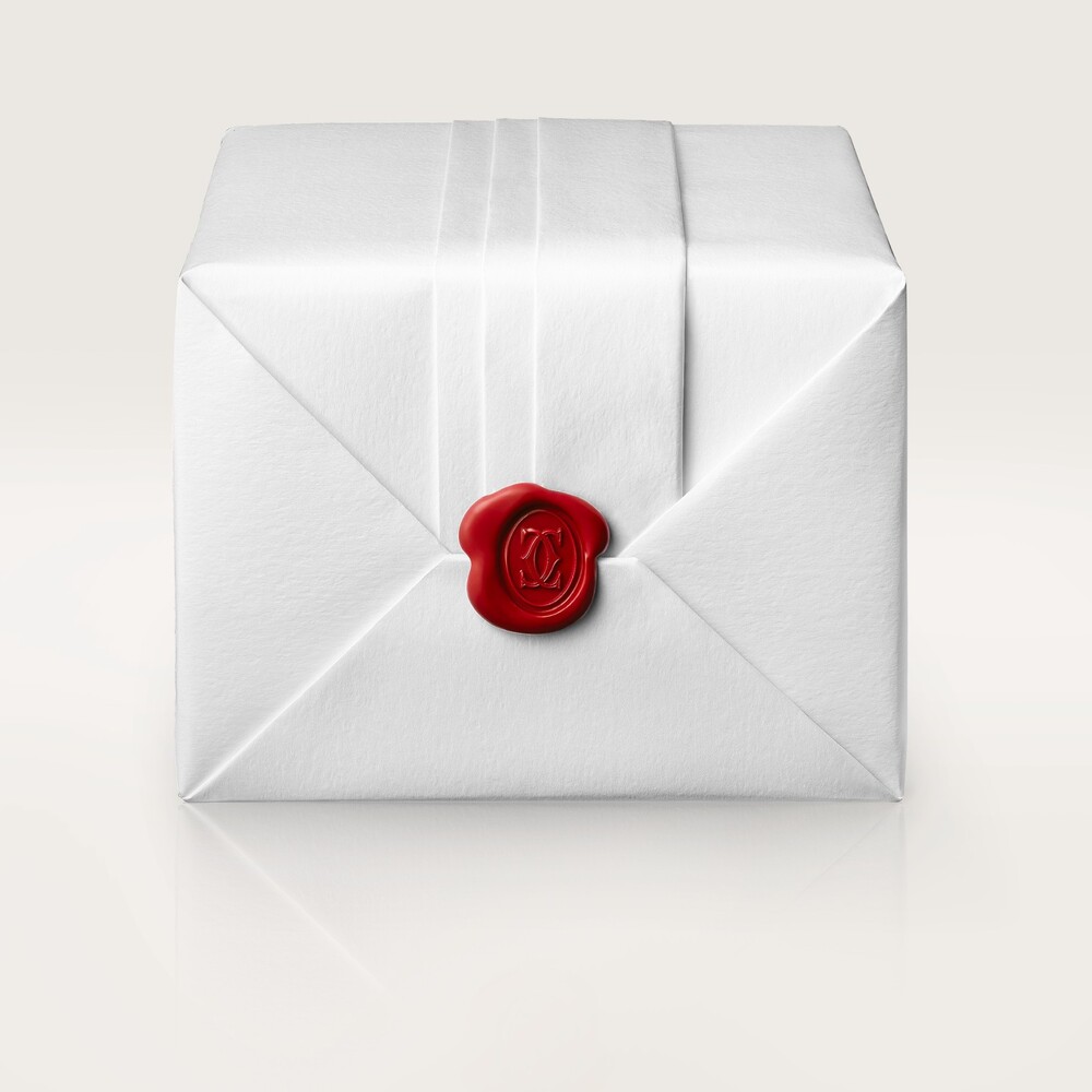 Часы Santos de Cartier