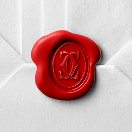 Ballon Bleu de Cartier watch