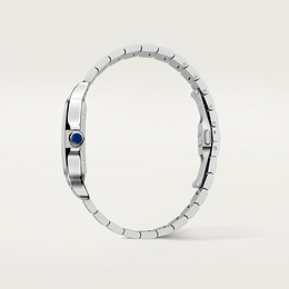 Santos de Cartier watch