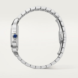 Santos de Cartier watch