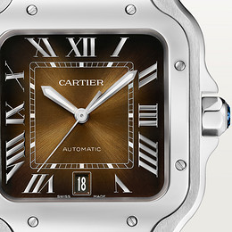 Santos de Cartier watch