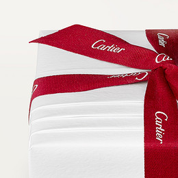 Santos de Cartier tie clip