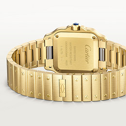Santos de Cartier