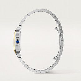 Santos de Cartier watch